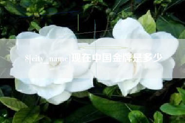 营口现在中国金牌是多少