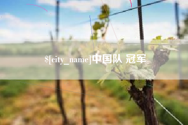 营口中国队 冠军