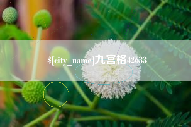 营口九宫格42633