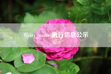 营口执行信息公示