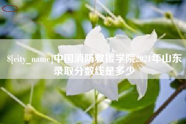 营口中国消防救援学院2021年山东录取分数线是多少
