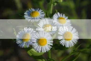 营口成都 消防