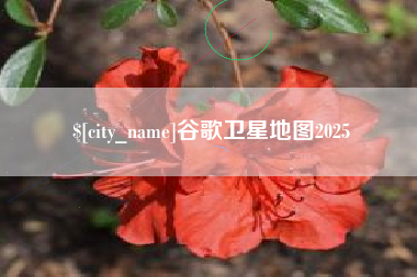 营口谷歌卫星地图2025