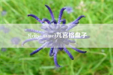 营口九宫格盘子