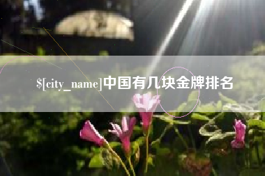 营口中国有几块金牌排名