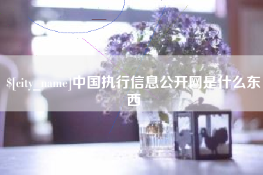 营口中国执行信息公开网是什么东西