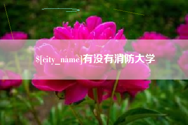 营口有没有消防大学