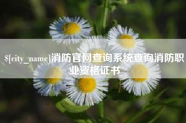 营口消防官网查询系统查询消防职业资格证书