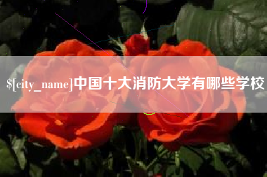 营口中国十大消防大学有哪些学校