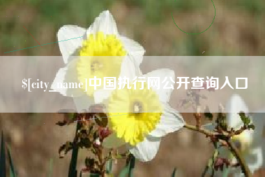 营口中国执行网公开查询入口