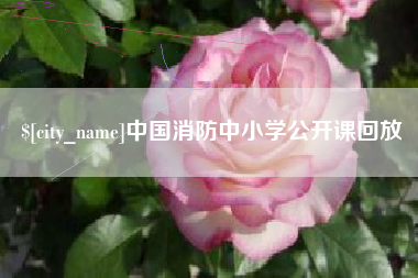 营口中国消防中小学公开课回放