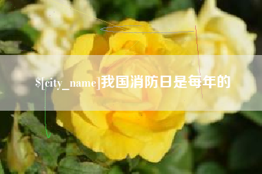营口我国消防日是每年的