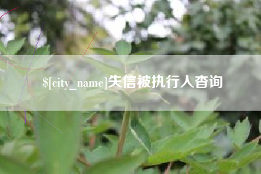 营口失信被执行人杳询