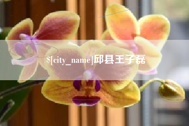 营口邱县王子磊
