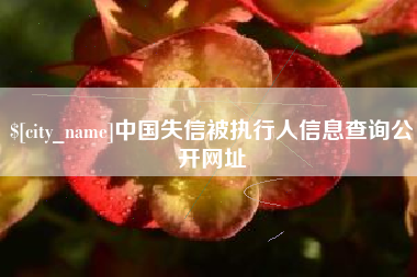 营口中国失信被执行人信息查询公开网址