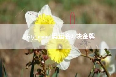 营口奥运会39块金牌