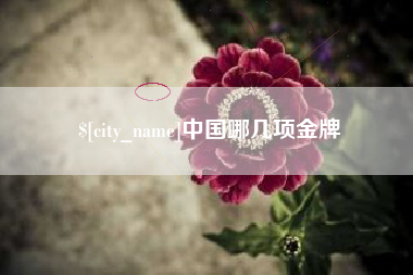营口中国哪几项金牌