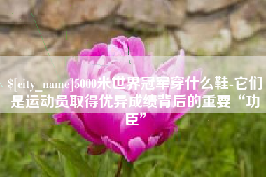 营口5000米世界冠军穿什么鞋-它们是运动员取得优异成绩背后的重要“功臣”