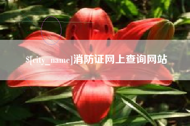 营口消防证网上查询网站