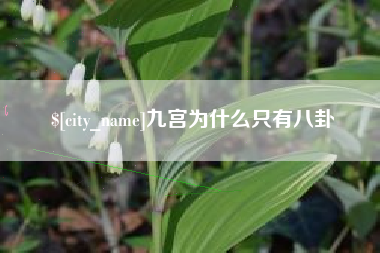 营口九宫为什么只有八卦