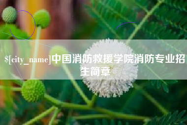 营口中国消防救援学院消防专业招生简章
