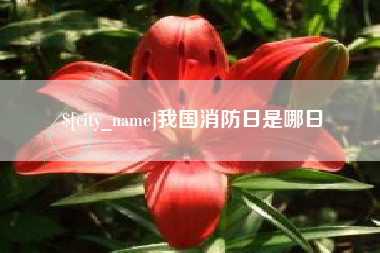 营口我国消防日是哪日