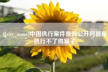 营口中国执行案件查询公开网都是执行不了得案子