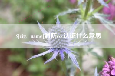 营口消防ccc认证什么意思
