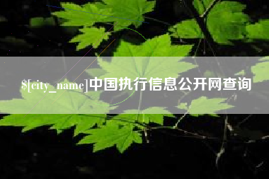 营口中国执行信息公开网查询