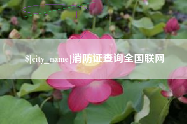 营口消防证查询全国联网