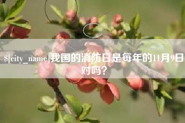 营口我国的消防日是每年的11月9日对吗？