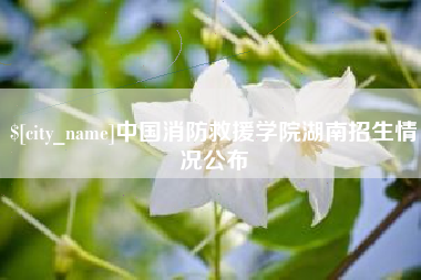 营口中国消防救援学院湖南招生情况公布