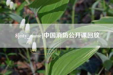 营口中国消防公开课回放