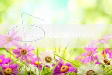 营口中国消防网1190119