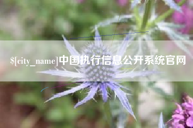 营口中国执行信息公开系统官网