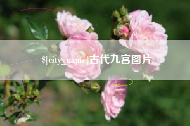 营口古代九宫图片