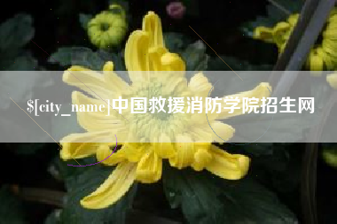 营口中国救援消防学院招生网