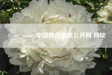 营口中国执行信息公开网 网址