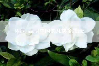 营口中国的几块金牌2021