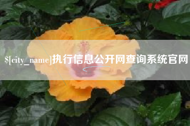 营口执行信息公开网查询系统官网