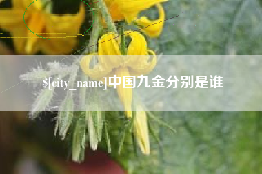 营口中国九金分别是谁