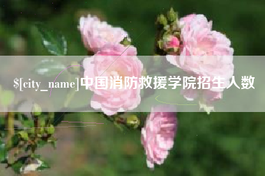 营口中国消防救援学院招生人数
