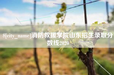 营口消防救援学院山东招生录取分数线2020