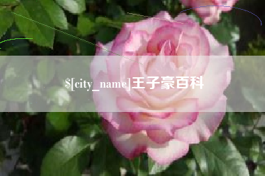 营口王子豪百科