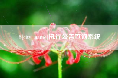 营口执行公告查询系统
