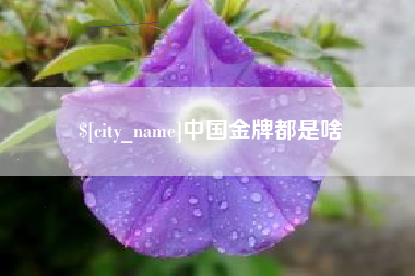 营口中国金牌都是啥