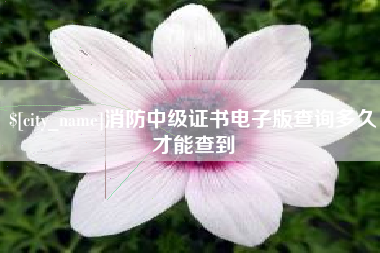 营口消防中级证书电子版查询多久才能查到
