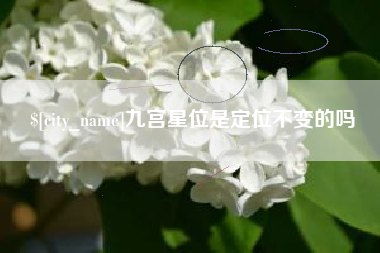 营口九宫星位是定位不变的吗
