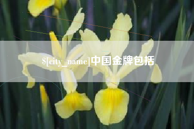 营口中国金牌包括