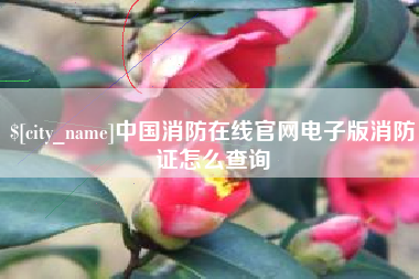 营口中国消防在线官网电子版消防证怎么查询